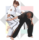 Adult Taekwondo
